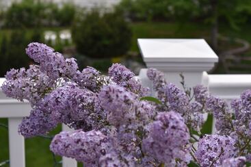 ベッドアンドブレックファースト Warm Springs Inn & Winery