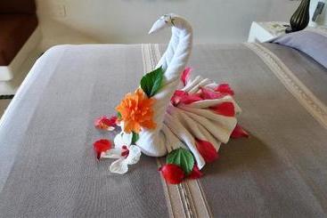 فندق The Studios At Solana Boutique B&b