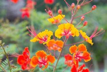 Santiago Resort   Palm Springs Premier Gay Men’s Resort