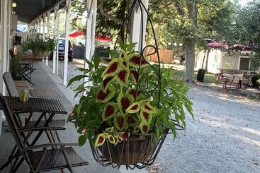 فندق على الطريق The Pines Inn And Cottages