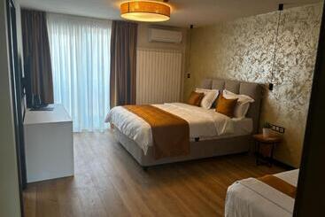 Pensiunea Anton Pann