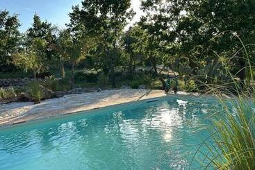 住宿加早餐  Trulli Oiseaux Migrateurs