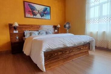 הוסטל Clouded Leo Inn