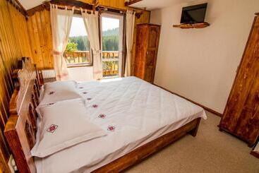 Пансион Plai Cu Dor Fundata