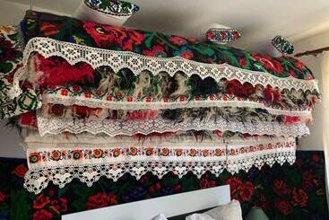 Pensiunea Casa Godja