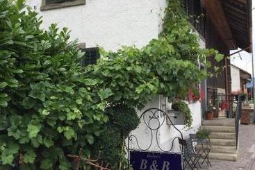 Airport Zürich Elwiras B & B