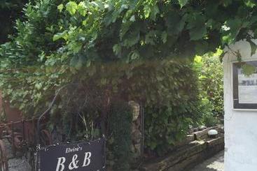 Airport Zürich Elwiras B & B