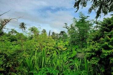 Patrick's On The Beach Resort