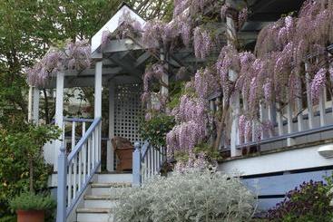Rose Cottage B&b