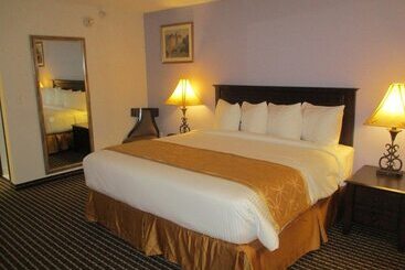 酒店 Iah 45 Airport Inn & Suites