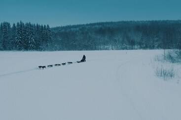 住宿加早餐  Varjola Holiday Center