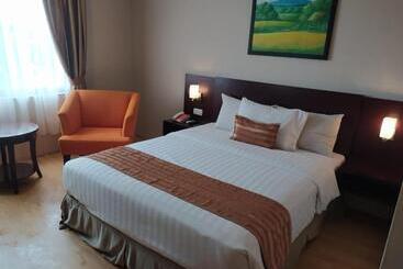 هتل Asialink Premier