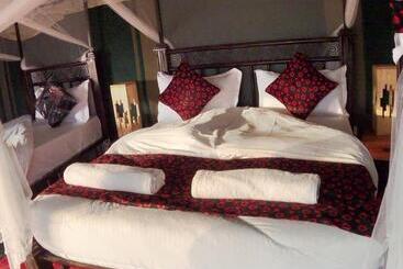 בית מלון כפרי Robin Safari Camp Serengeti