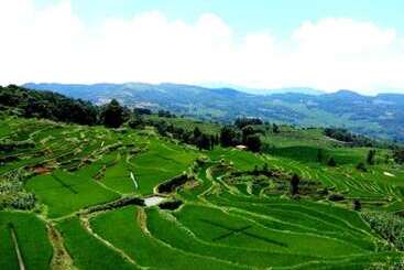 הוסטל Belinda Backpackers Guesthouse