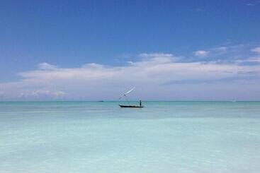 تختخواب و صبحانه Baraka Aquarium Bungalows