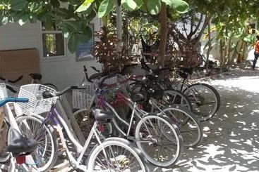 Pedro S Inn Backpackers Hostel