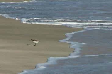 Simabo's Backpackers' Hostel
