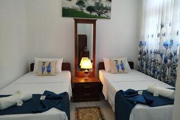 פנסיון Cosy White Palace