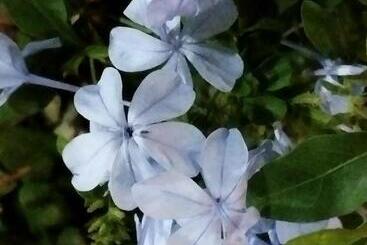 公寓式酒店  Quarto 0000 Está Indisponível Não Paguei Nada