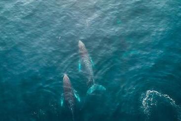 La Alberca Hotel Boutique