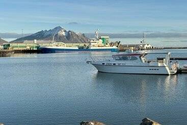 ベッドアンドブレックファースト Guesthouse Dyngja