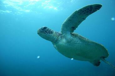 住宿加早餐  Maetakeso