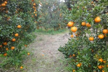 تختخواب و صبحانه Pension Blue Drop