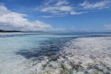 ベッドアンドブレックファースト Mama Njoe Lodge