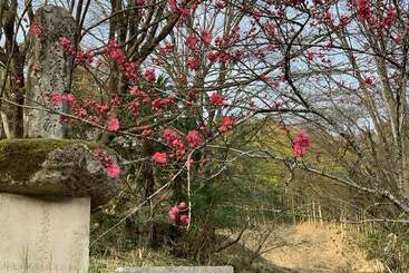 日式旅馆 Kinosato Yamanoyu