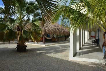 تختخواب و صبحانه The Lizard Boutique