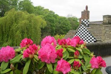 צימר Teardrop Cottage