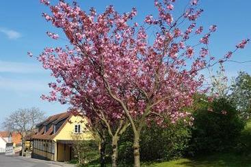 בית מלון כפרי Villum