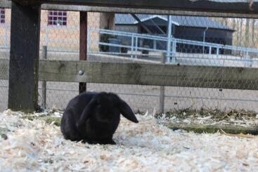 Louiselund Bed & Breakfast