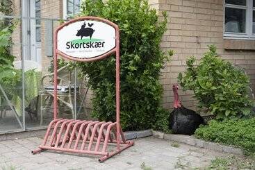 مبيت وإفطار Skortskær Bondegårdsferie