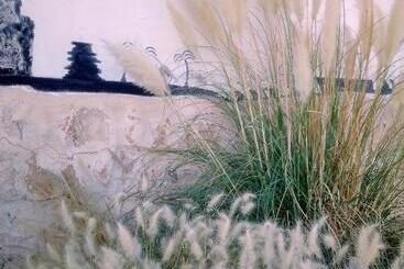 The Little B&b On The Hill