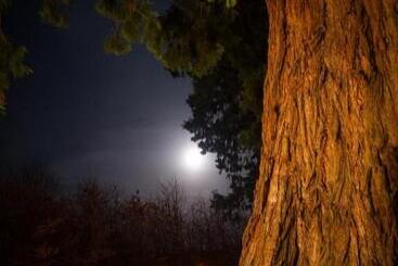 住宿加早餐  Kilmichael House