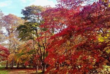 Bod Gwynedd Bed And Breakfast