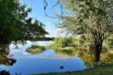 فندق River View Lodge