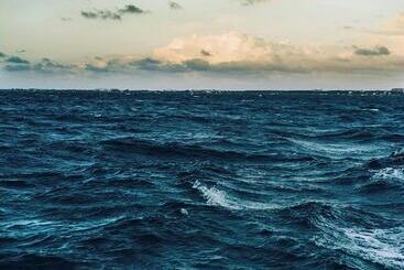 ペンション Room In Guest Room   Fly In Viareggio Beach In Front Of The Famous Promenade With Shops And Establis