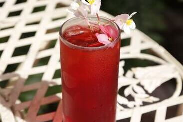 فندق Life House, Little Havana