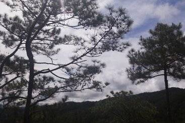 Coffee Heritage House & Hostel