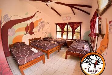هتل El Curichal Hostel