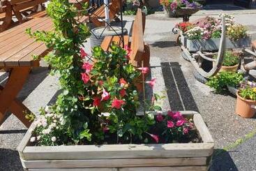 فندق Schönauer Hof