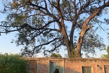 Tree Of Life Resort & Spa Varanasi