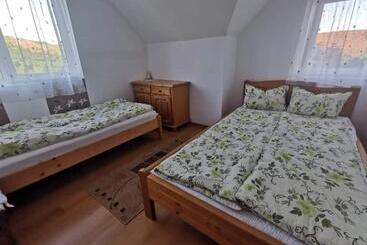 Пансион Zöldfenyő Vendégház