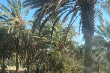 شالية ومزرعة نجمة وقمر