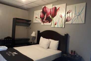 Отель Diplomatico