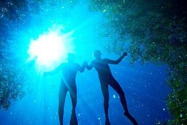 酒店 La Villa Mexicana By Diving Prestige