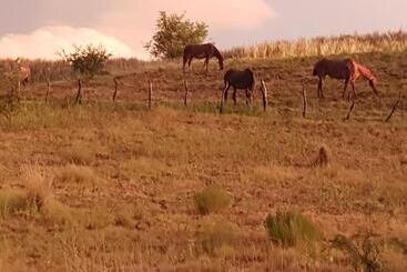 Bed and Breakfast Loft En Casa Particular