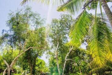 هتل Paradise Palm Resort